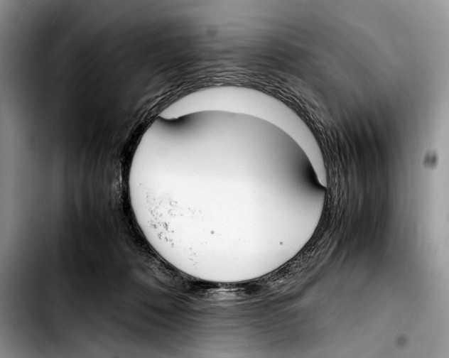 X0000103430320200810101048