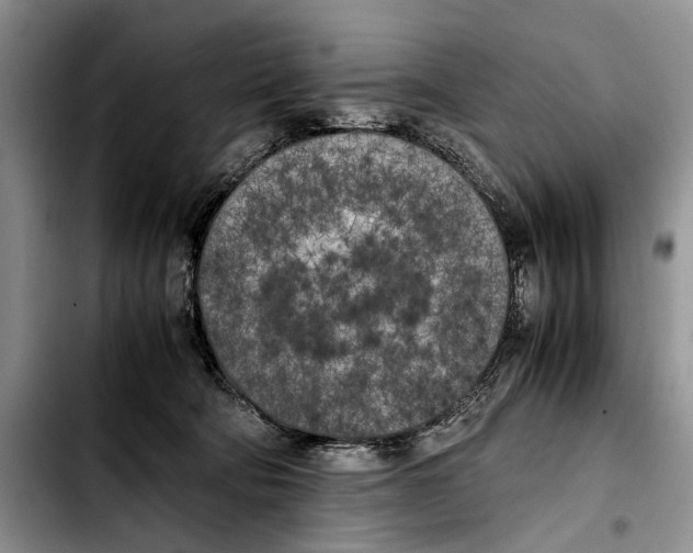 X0000103430322200810101048