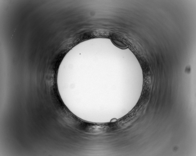 X0000103430323200810101048