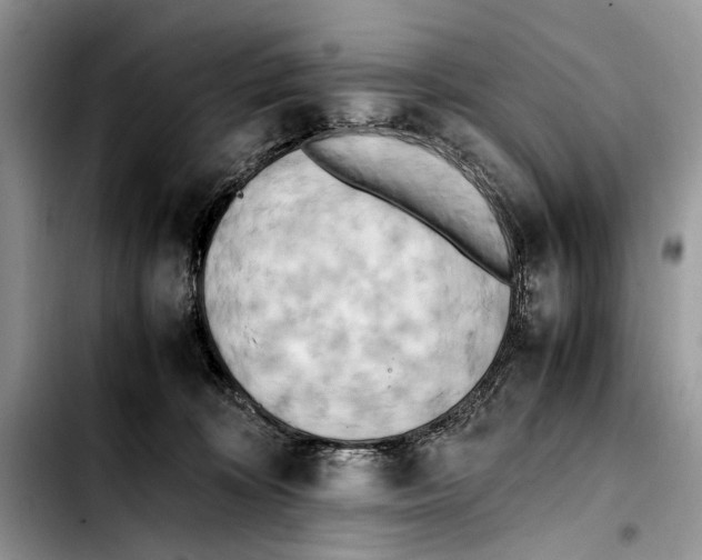 X0000103430324200810101048