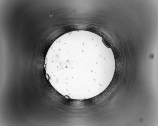 X0000103430325200810101048