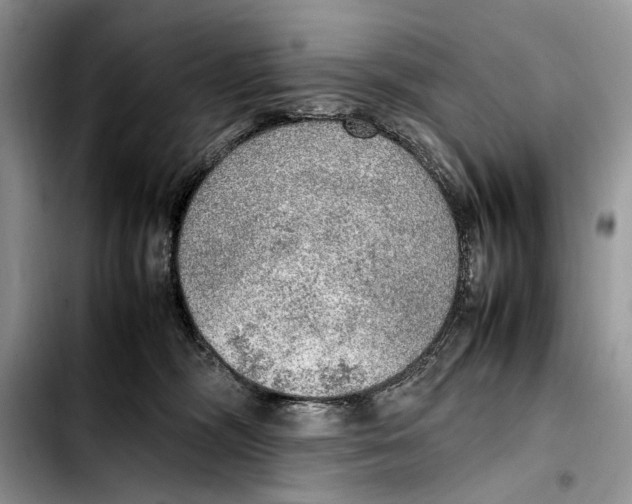 X0000103430326200810101048