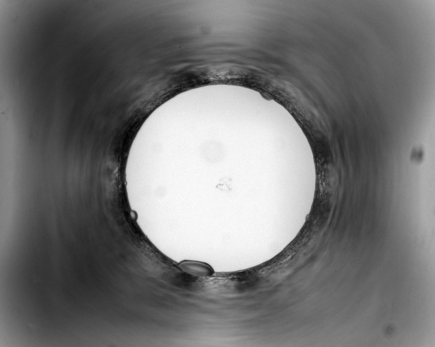 X0000103430327200810101048