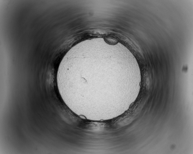X0000103430328200810101048