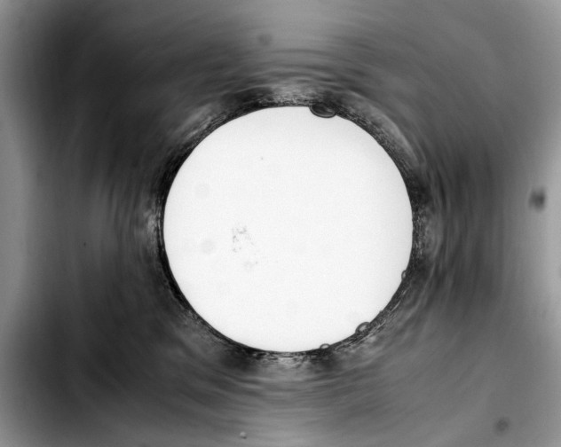 X0000103430329200810101048