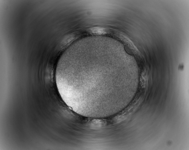 X0000103430330200810101048