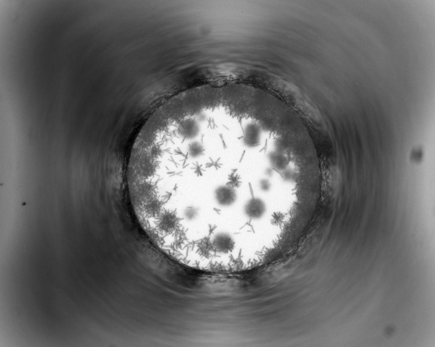 X0000103430331200810101048