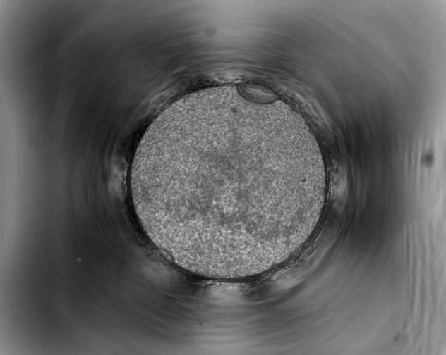 X0000103430332200810101048