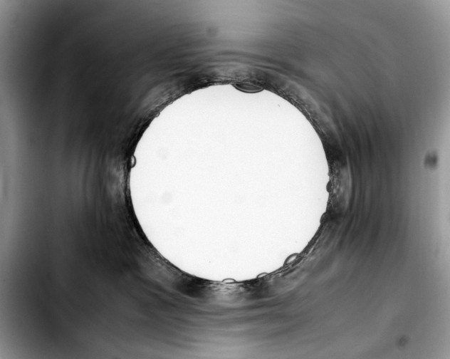 X0000103430333200810101048