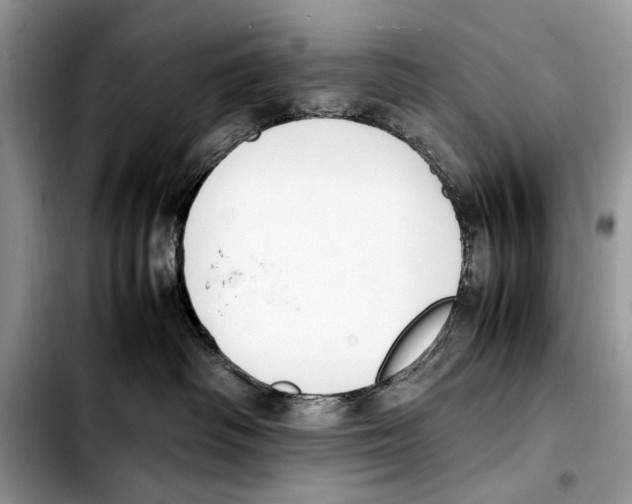 X0000103430334200810101048