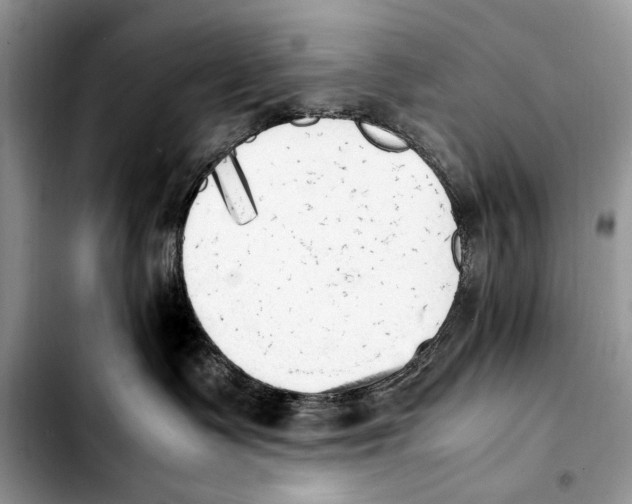 X0000103430335200810101048