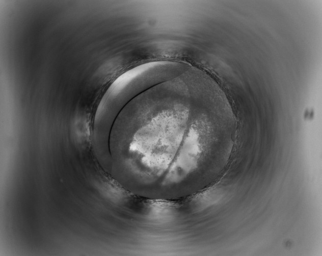X0000103430336200810101048
