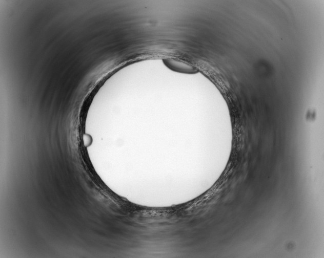 X0000103430338200810101047