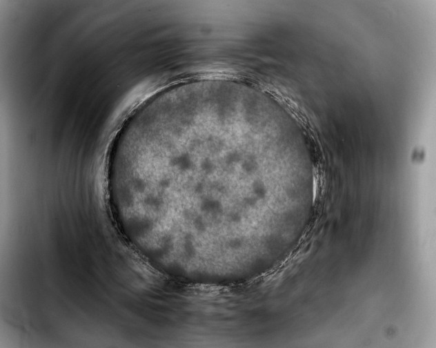 X0000103430339200810101047