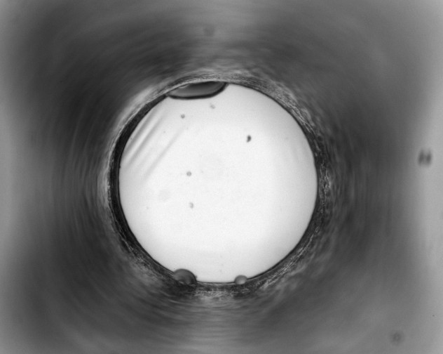 X0000103430340200810101047