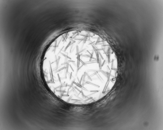 X0000103430341200810101047