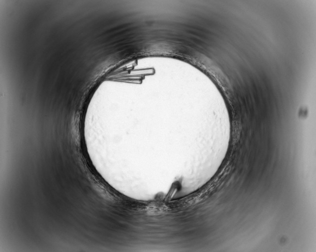 X0000103430345200810101047