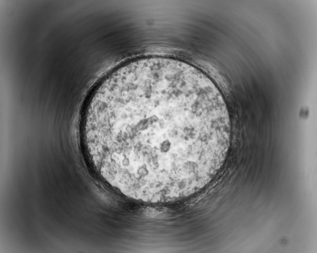 X0000103430346200810101047