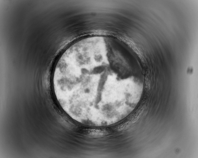 X0000103430347200810101047