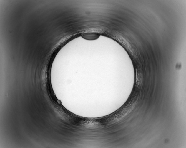 X0000103430348200810101047