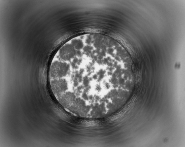 X0000103430349200810101047