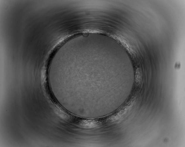 X0000103430351200810101047