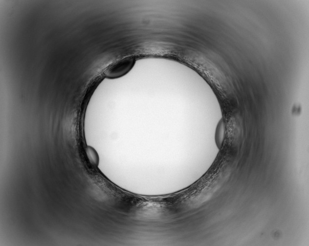 X0000103430352200810101047