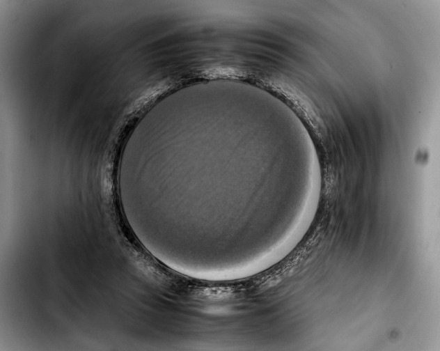 X0000103430353200810101047