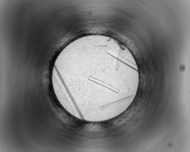 X0000103430354200810101047