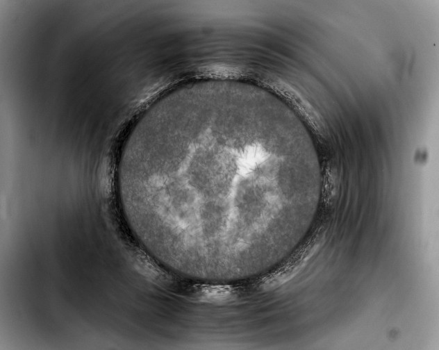 X0000103430355200810101047