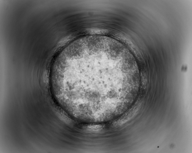 X0000103430357200810101047