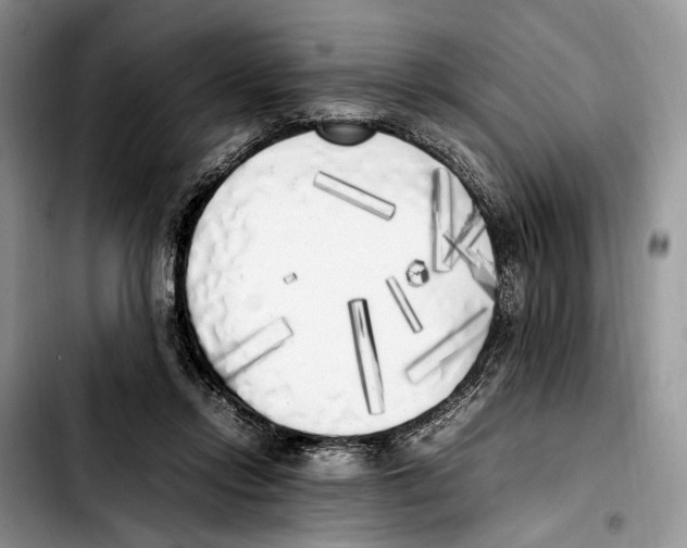 X0000103430358200810101047