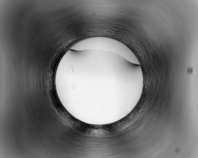 X0000103430360200810101047