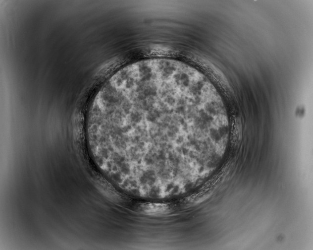 X0000103430361200810101047