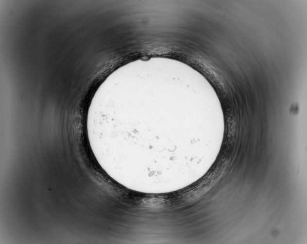 X0000103430362200810101047