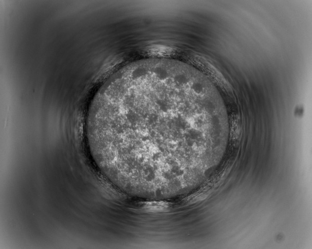 X0000103430363200810101047