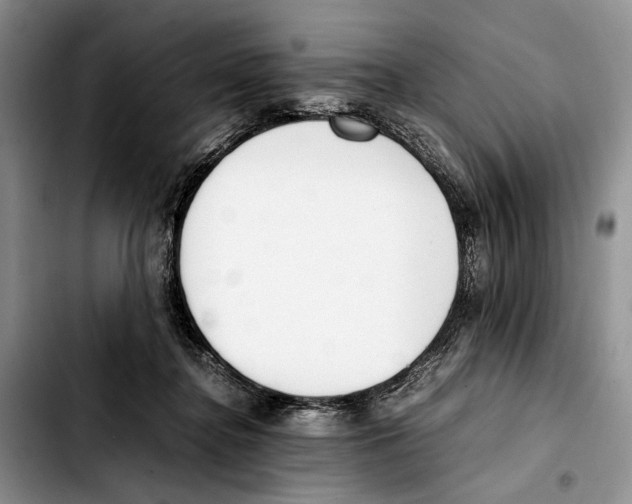 X0000103430364200810101047