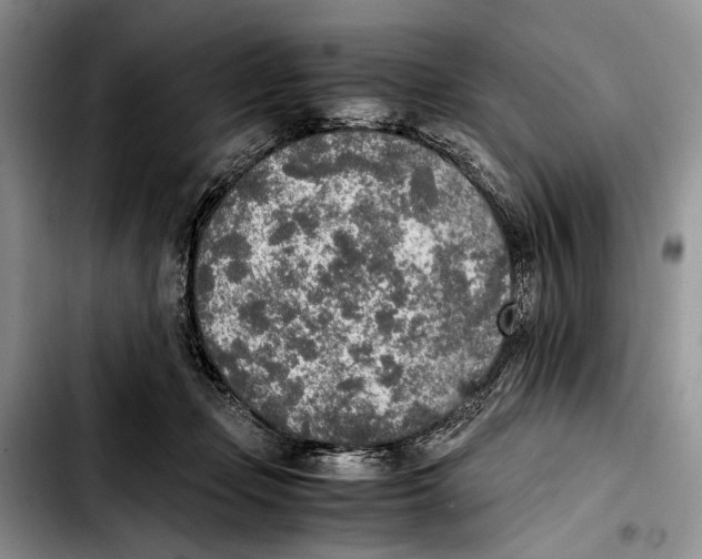 X0000103430365200810101047