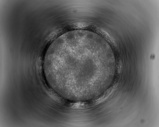 X0000103430366200810101047