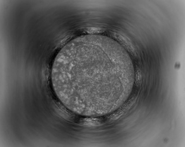 X0000103430367200810101047
