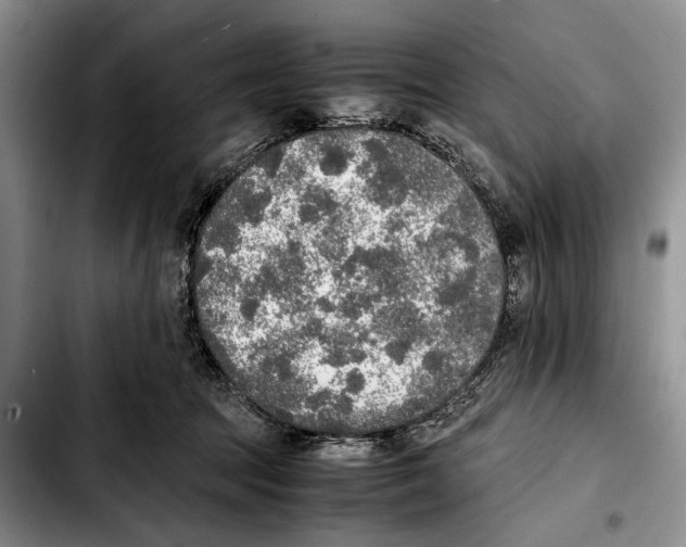 X0000103430369200810101047