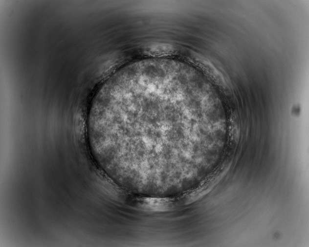 X0000103430371200810101048
