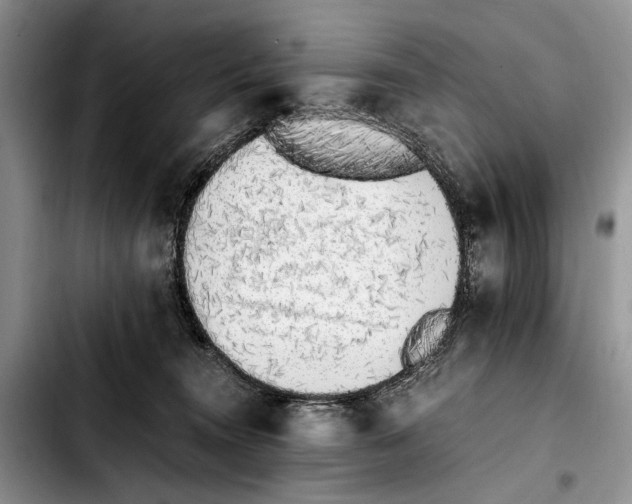 X0000103430372200810101048
