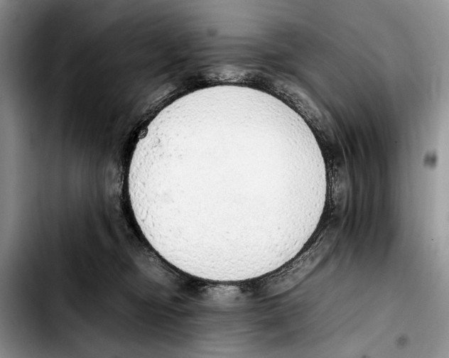 X0000103430374200810101048