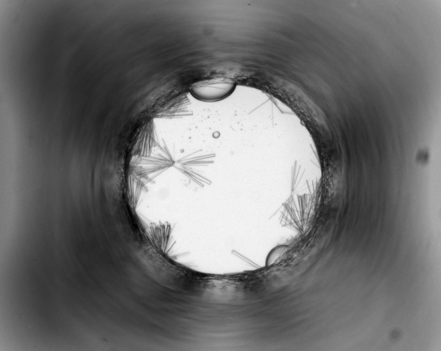 X0000103430376200810101048