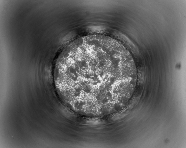 X0000103430377200810101048