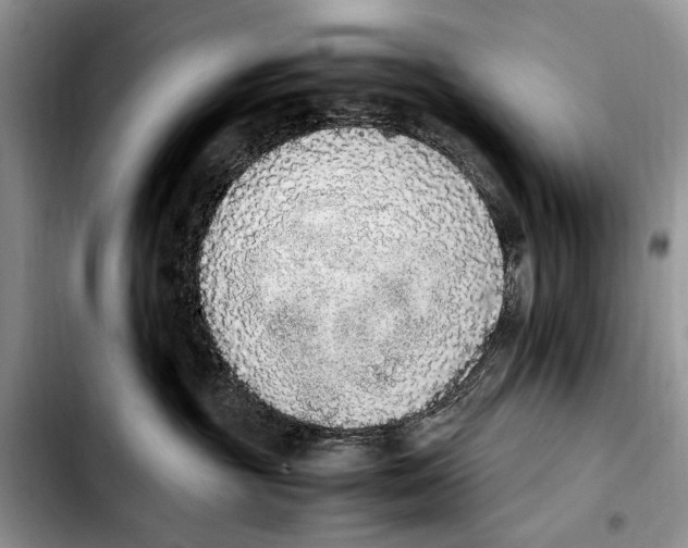 X0000103430381200810101048