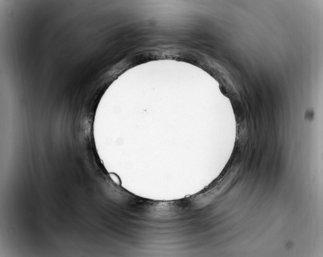 X0000103430382200810101048