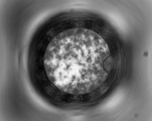 X0000103430383200810101048