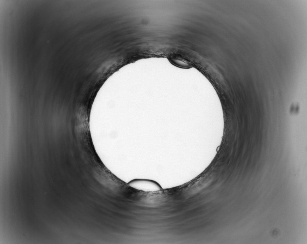 X0000103430384200810101048